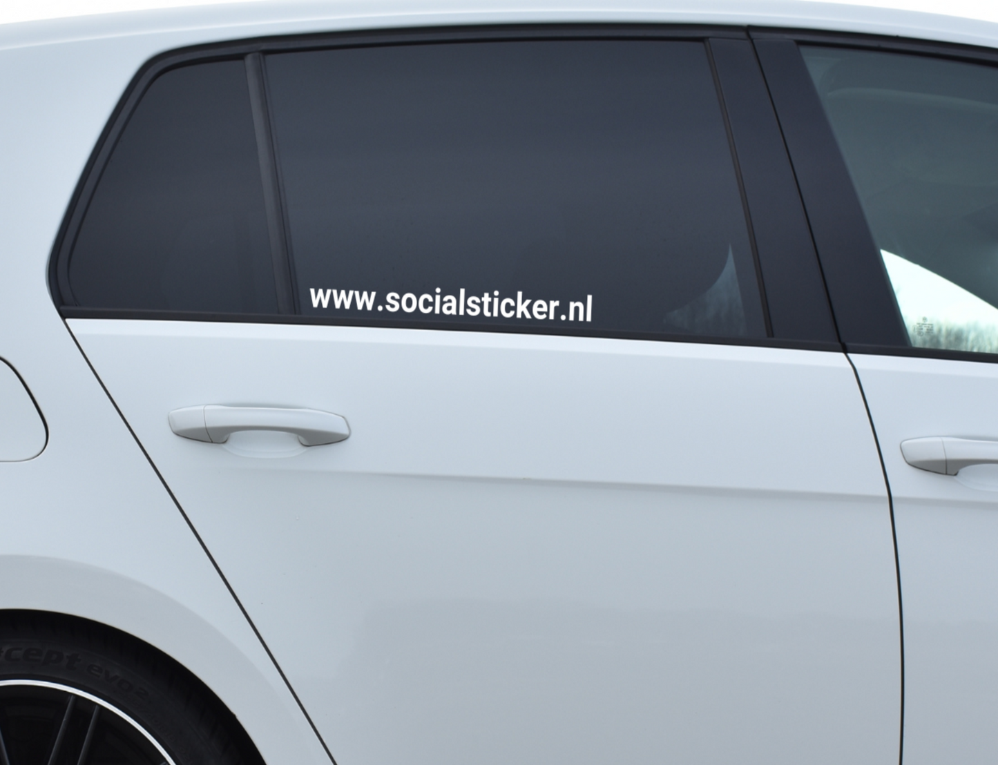 Website autosticker